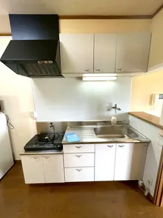 パルケ エスパーニャ【D204号室】のキッチン