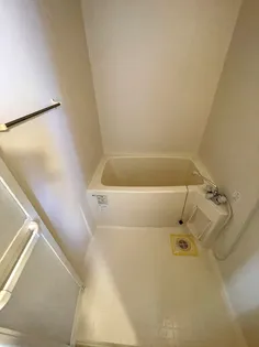 パルケ エスパーニャ【D204号室】の風呂