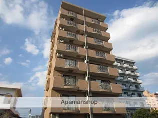 アレグリアの画像