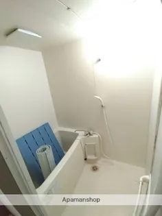 パストラル柳丸Ⅰ【7階】の風呂