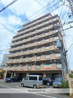 天満フェニックスの画像