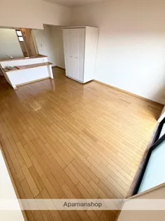 メゾンルーエ【303号室】の居間