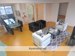 SEIマンション花ヶ島【1001号室】の内装