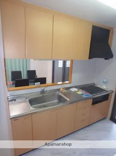 SEIマンション花ヶ島【1001号室】のキッチン