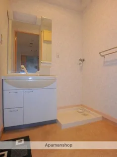 SEIマンション花ヶ島【1001号室】のその他画像