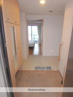 SEIマンション花ヶ島【1001号室】の玄関