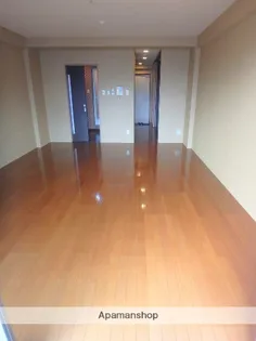 SI清水【302号室】の内装