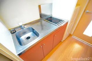 レオパレスラビホワ23【305号室】のキッチン