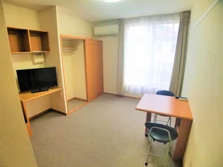 レオパレスグランデ【206号室】の居間