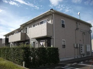 ニューブライトの画像