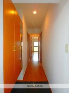 リアン花ヶ島【3階】の玄関