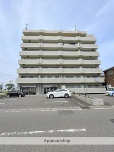 M'Sフローリッシュの画像