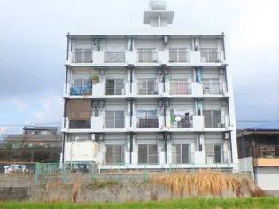 ベルヴィーユ清武【311号室】の外観