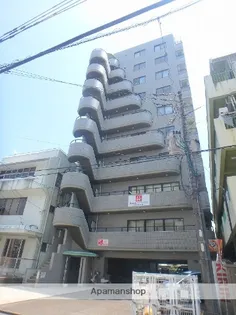 コスモ橘東の画像