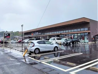 レオネクスト桜【104号室】の周辺