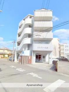 シルフィー丸島【301号室】の外観