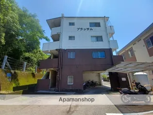 ブラッサム【4階】の外観