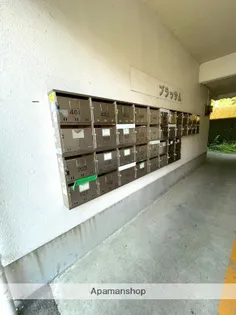 ブラッサム【4階】の外観