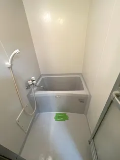 パームスウィート【105号室】の風呂