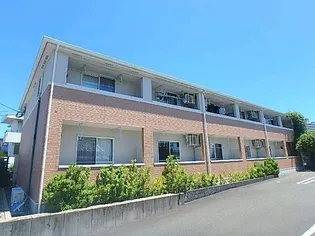 スイートアリッサムの画像