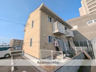 シーゲルの画像