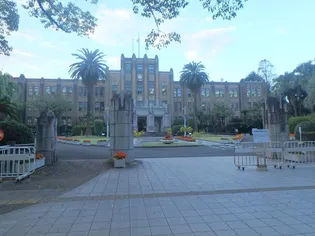 桂ビル【507号室】の周辺