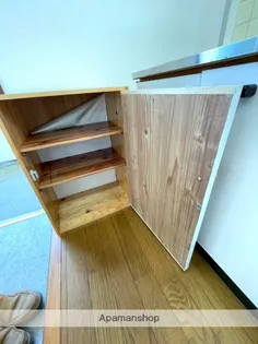 河井田コーポ【205号室】の内装