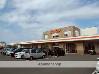 河井田コーポ【205号室】の周辺