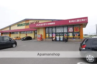 グリーンコーポ南横市(1LDK)【207号室】の周辺