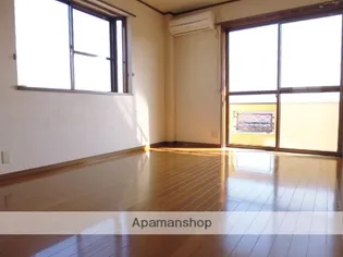 平田コーポ【201号室】の居間