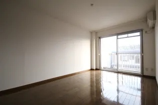 アピアコート【207号室】の内装