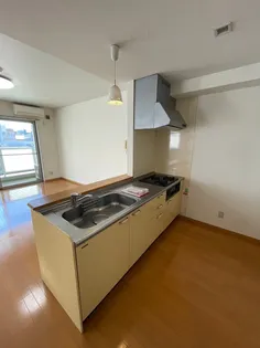 ライトコートM【206号室】のキッチン