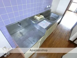 ADVANCE(旧高田ハイツ)【207号室】の内装