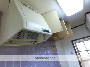 ADVANCE(旧高田ハイツ)【207号室】の内装