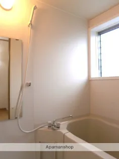 グリーンコーポ南横市(2DK)【203号室】の風呂