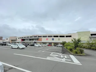 ガーデンコート C【1階】の周辺