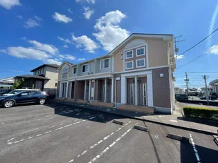 サイプレス フレンズの画像