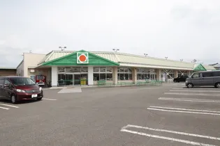 レオパレスノア都城【202号室】の周辺