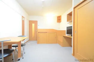 レオパレスプルメリアⅡ【105号室】の居間