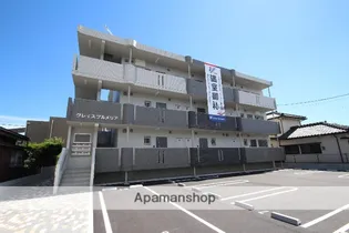 グレイス プルメリアの画像