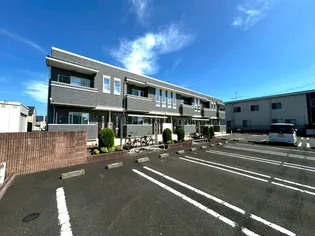 ホワイト ベルの画像