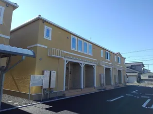 ステラ Ⅱの画像