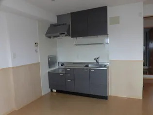 セジュール早水 Ⅰ号館【3階】のキッチン