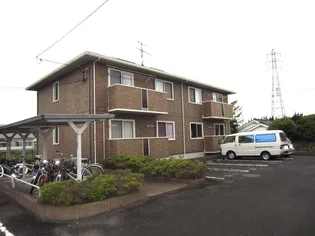 D'コートラスタの画像