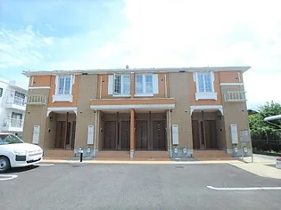 ニュー シャルマンの画像