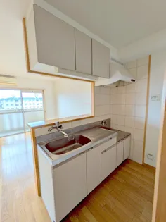 ラフィーナコート【401号室】のキッチン