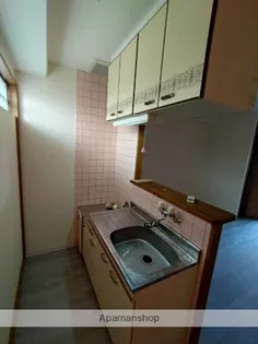 ニューサンシャインビル【302号室】のキッチン