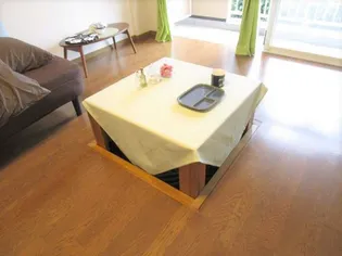 パルケ エスパーニャ【C103号室】の内装