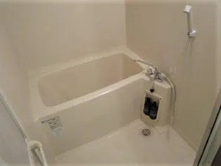 パルケ エスパーニャ【C103号室】の風呂