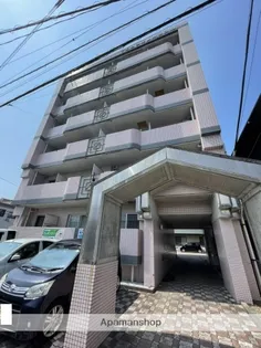 エレガンス11【4階】の外観